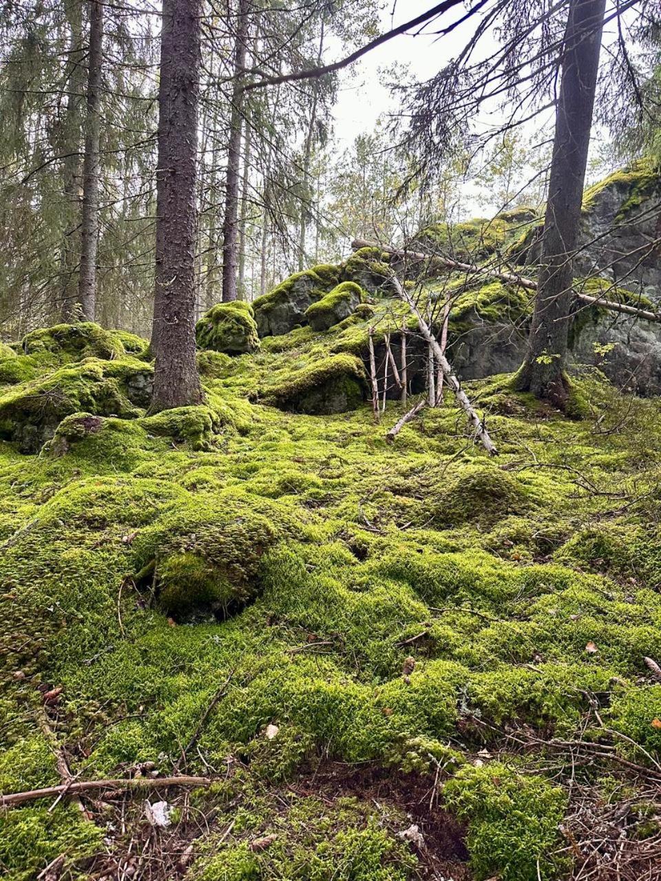 Villa Laidike With Sauna/Fireplace, 80 Km Helsinki Suomusjarvi المظهر الخارجي الصورة