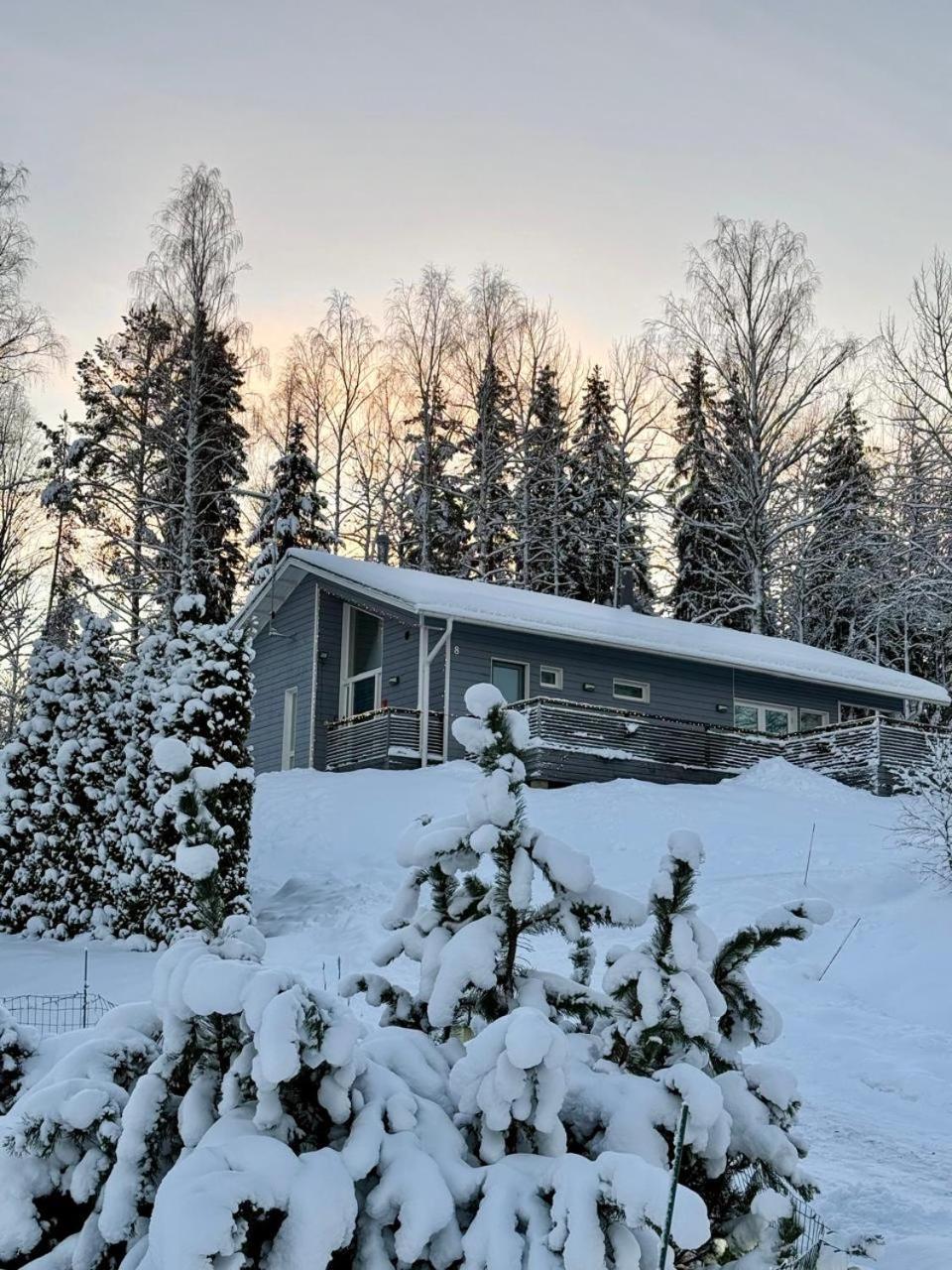 Villa Laidike With Sauna/Fireplace, 80 Km Helsinki Suomusjarvi المظهر الخارجي الصورة